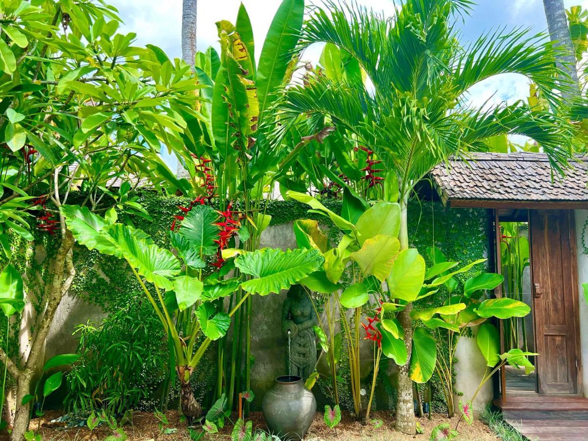 Jati Kuta Lombok Kuta (Lombok) Exterior foto